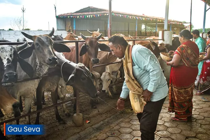 gau-seva-1-min-min1-658d9b6390af0